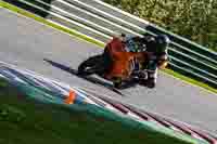 Lower Group Orange Bikes